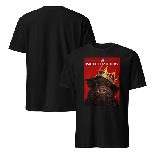 Notorious PIG t-shirt front and back
